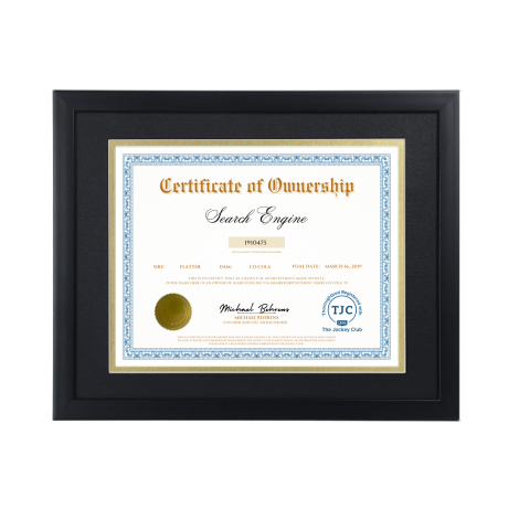 Search Engine Certificate of Ownership