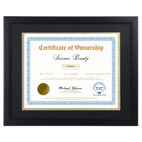 Seismic Beauty Certificate of Ownership