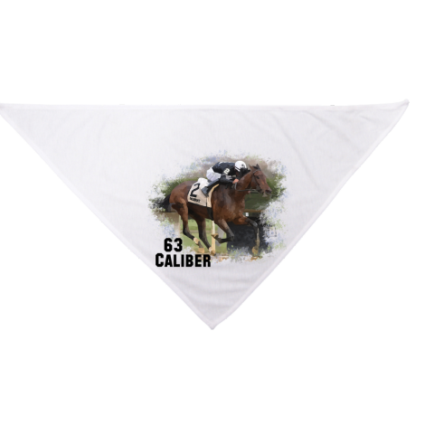 Sixtythreecaliber Dog Bandana