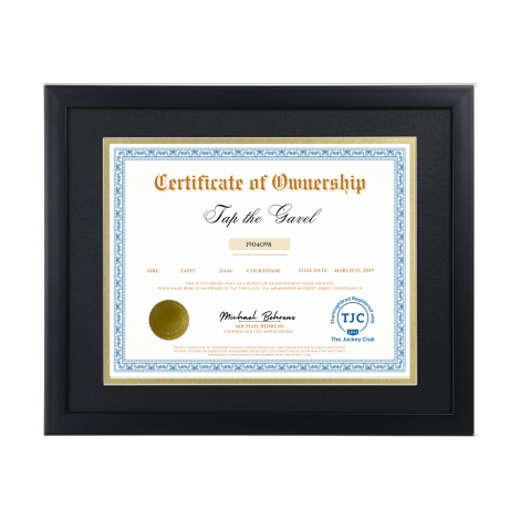 Tap the Gavel Certificate of Ownership