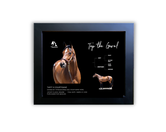 Tap the Gavel Owner Photo