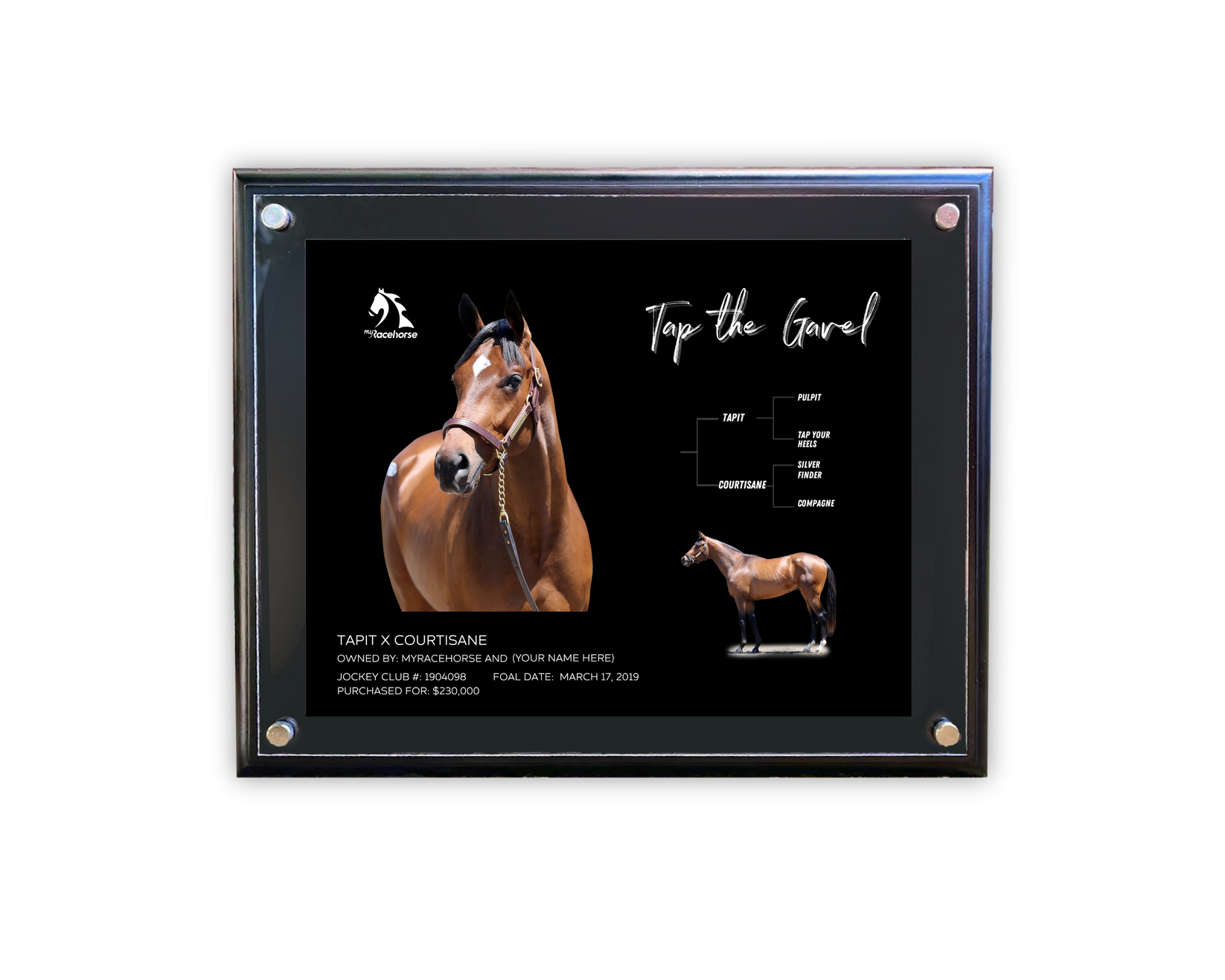 Tap the Gavel Custom Owner Photo MyRacehorse Shop