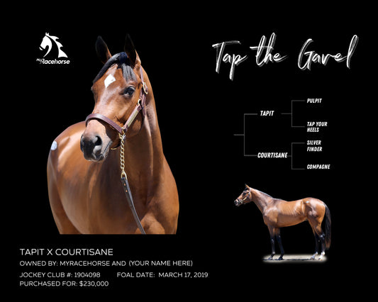 Tap the Gavel Owner Photo