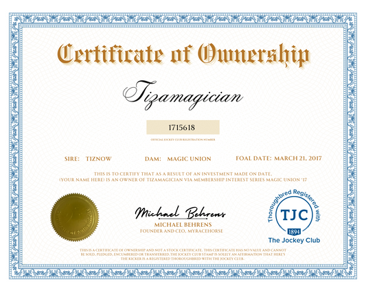 Tizamagician Certificate of Ownership