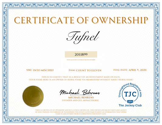 Tufnel Certificate of Ownership