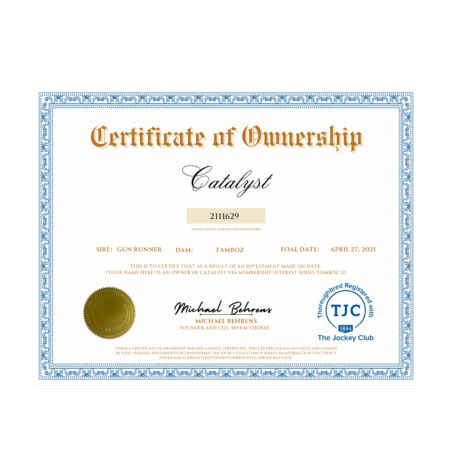 Catalyst Certificate of Ownership