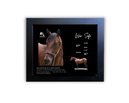 War Safe Owner Photo