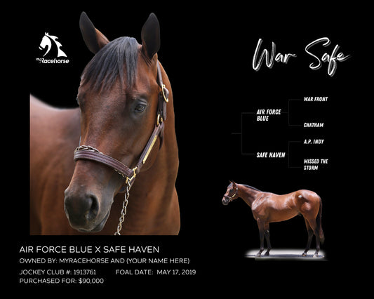 War Safe Owner Photo